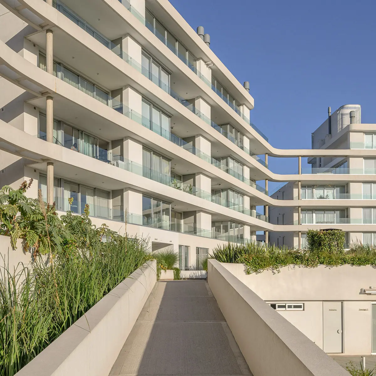 SaintJordi_Proyecto_B06